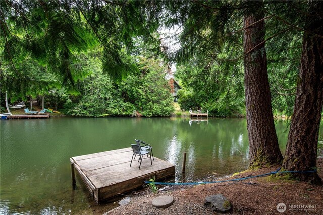 41 E Westlake Pl, Allyn, WA 98524 - photo 30