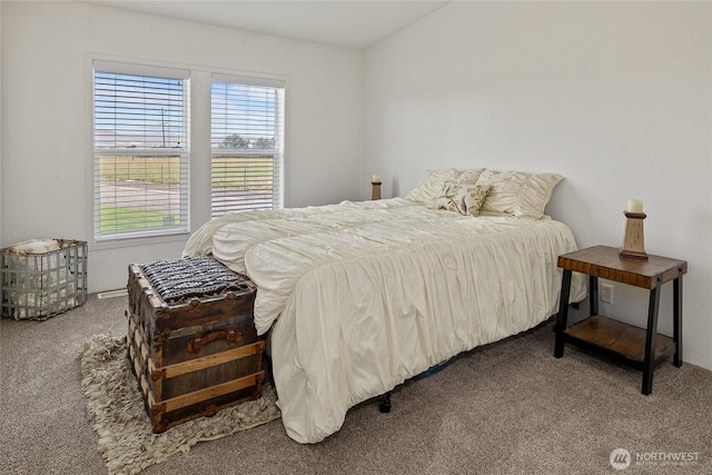 2801 Clerf Rd, Ellensburg, WA 98926 - photo 23