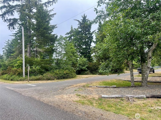 2112 302nd Pl, Ocean Park, WA 98640 - photo 37