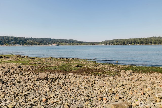 6069 Watauga Beach Dr E, Port Orchard, WA 98366 - photo 31