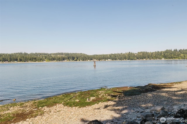 6069 Watauga Beach Dr E, Port Orchard, WA 98366 - photo 39
