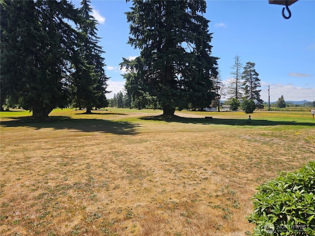 1018 Monte Elma Rd # 11, Elma, WA 98541 - photo 11