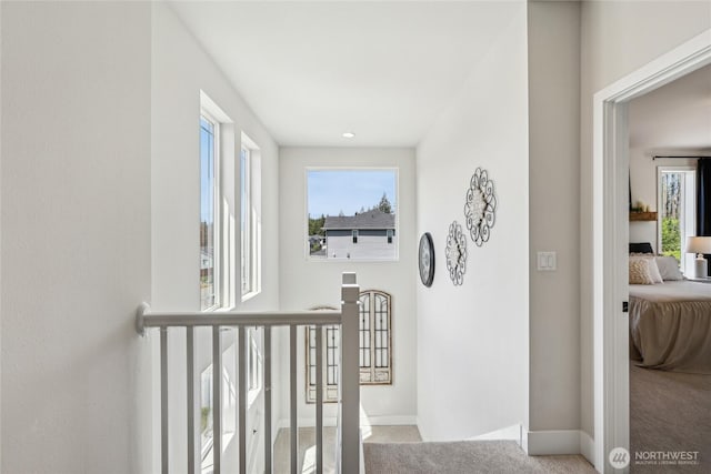14517 117th St NE, Lake Stevens, WA 98258 - photo 19