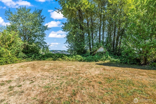9423 148th St E, Puyallup, WA 98372 - photo 19