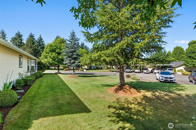 1121 A Tennyson Dr, Centralia, WA 98531 - photo 31