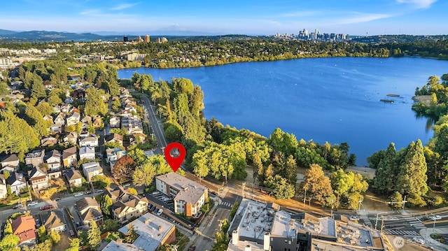 7850 E Grn Lake Dr N Unit 301, Seattle, WA 98103 - photo 10