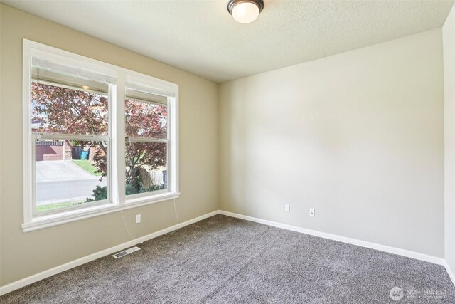 4405 NE 118th St, Vancouver, WA 98686 - photo 23
