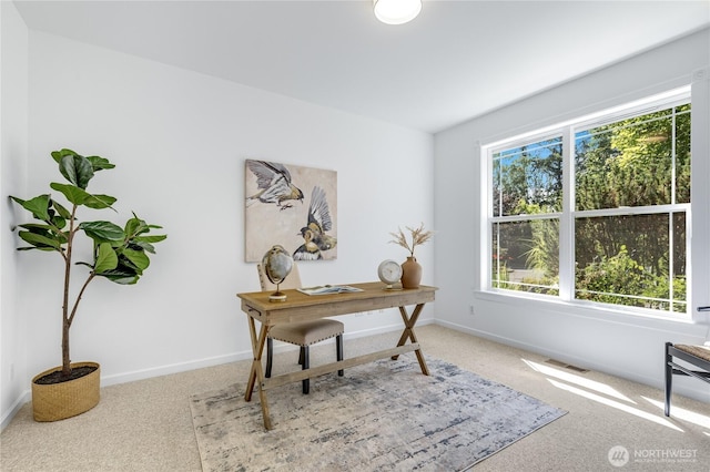 744 Brookcliff Ln NE, Bainbridge Island, WA 98110 - photo 16