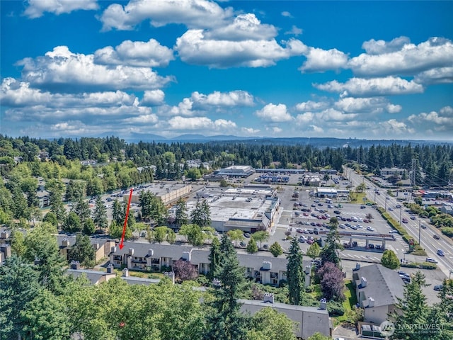 14510 124th Ave NE Unit C28, Kirkland, WA 98034 - photo 5