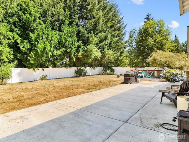 4309 236th St E, Spanaway, WA 98387 - photo 29