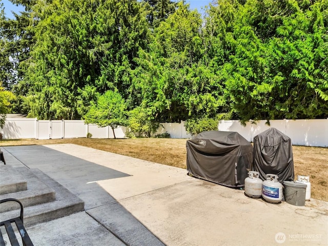 4309 236th St E, Spanaway, WA 98387 - photo 30
