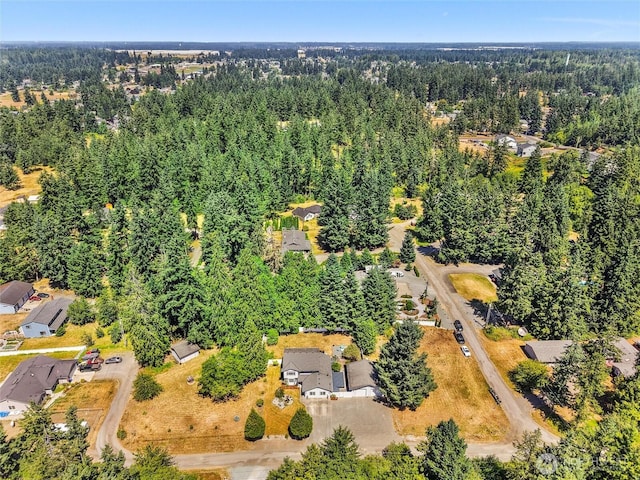 4309 236th St E, Spanaway, WA 98387 - photo 37