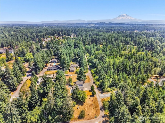 4309 236th St E, Spanaway, WA 98387 - photo 38