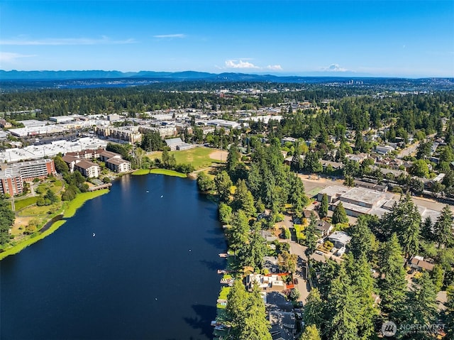13302 Bitter Pl N, Seattle, WA 98133 - photo 16