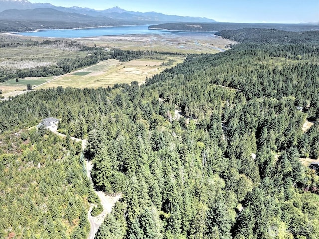 12ACRES Webb Hill Rd, Union, WA 98592 - photo 1