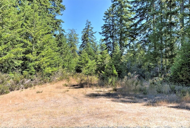 12ACRES Webb Hill Rd, Union, WA 98592 - photo 2