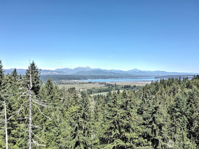 12ACRES Webb Hill Rd, Union, WA 98592 - photo 3