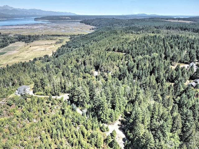 12ACRES Webb Hill Rd, Union, WA 98592 - photo 4