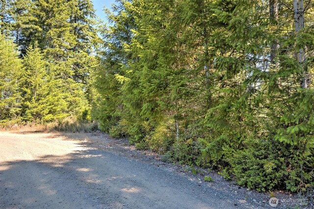 12ACRES Webb Hill Rd, Union, WA 98592 - photo 5