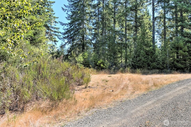 12ACRES Webb Hill Rd, Union, WA 98592 - photo 7