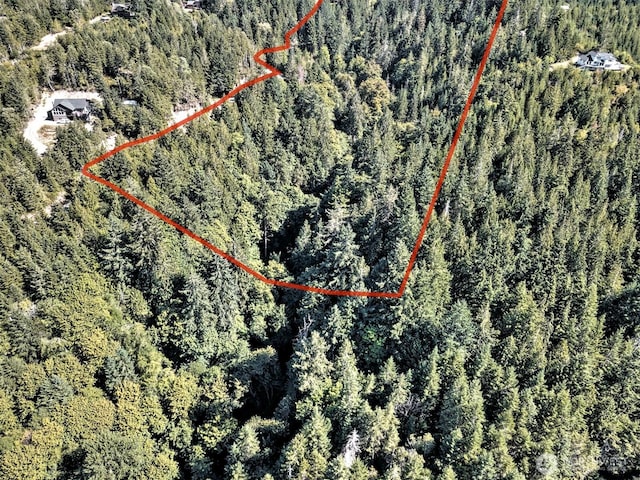 12ACRES Webb Hill Rd, Union, WA 98592 - photo 8