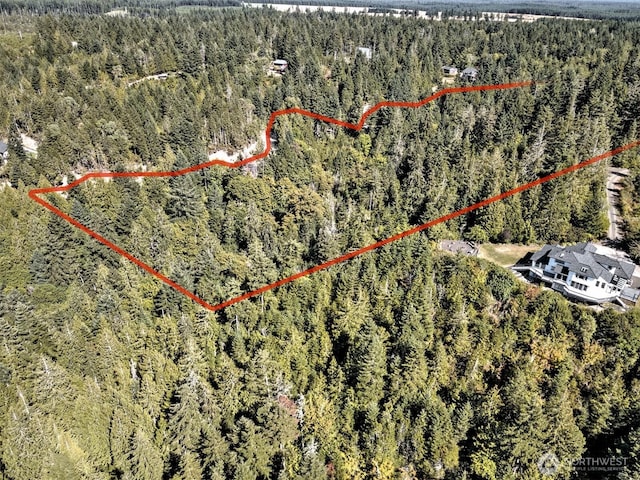 12ACRES Webb Hill Rd, Union, WA 98592 - photo 9