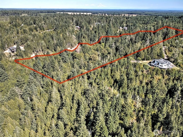 12ACRES Webb Hill Rd, Union, WA 98592 - photo 11