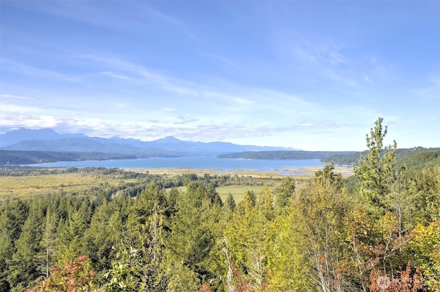 12ACRES Webb Hill Rd, Union, WA 98592 - photo 13
