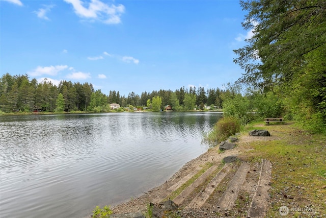 14413 134th St NW, Gig Harbor, WA 98329 - photo 24