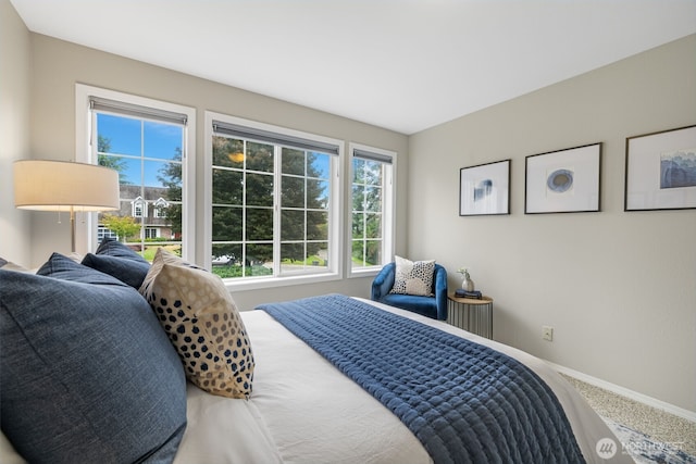 19011 64th Ave NE, Kenmore, WA 98028 - photo 28