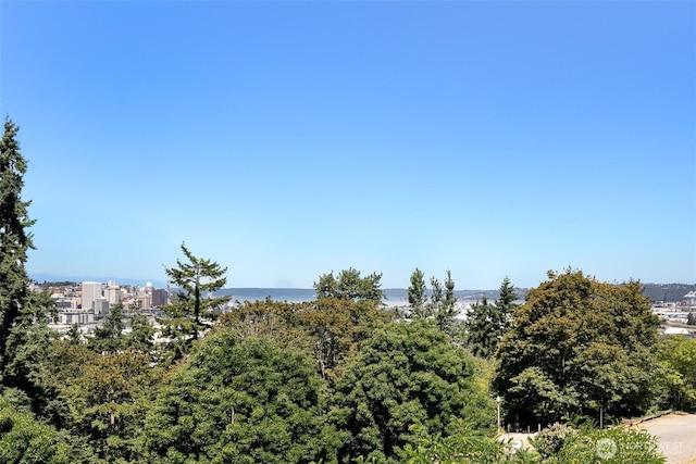 1005 E 30th St, Tacoma, WA 98404 - photo 29