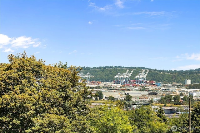 1005 E 30th St, Tacoma, WA 98404 - photo 32
