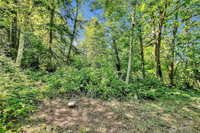 28215 SE 216th St, Maple Valley, WA 98038 - photo 9