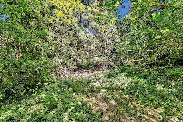 28215 SE 216th St, Maple Valley, WA 98038 - photo 11