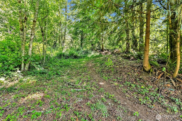 28215 SE 216th St, Maple Valley, WA 98038 - photo 12