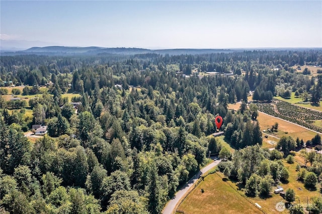 28215 SE 216th St, Maple Valley, WA 98038 - photo 14