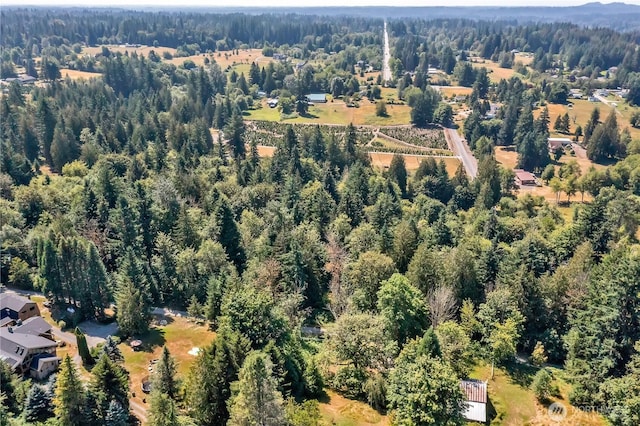 28215 SE 216th St, Maple Valley, WA 98038 - photo 19