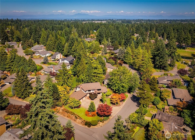 2025 143rd Pl SE, Mill Creek, WA 98012 - photo 36