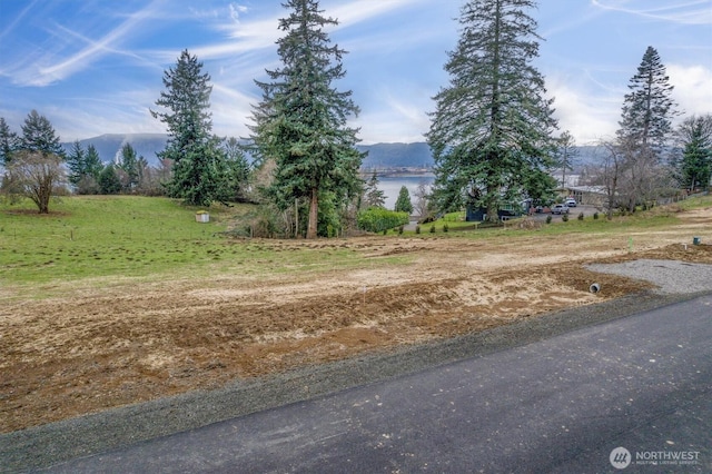 33 Sunnyfield Dr Unit Lot30, Cathlamet, WA 98612 - photo 2