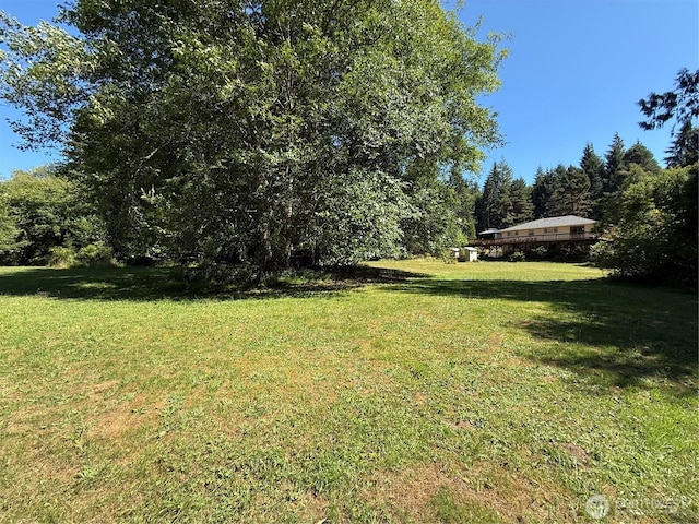 1329 State Route 4, Naselle, WA 98638 - photo 8