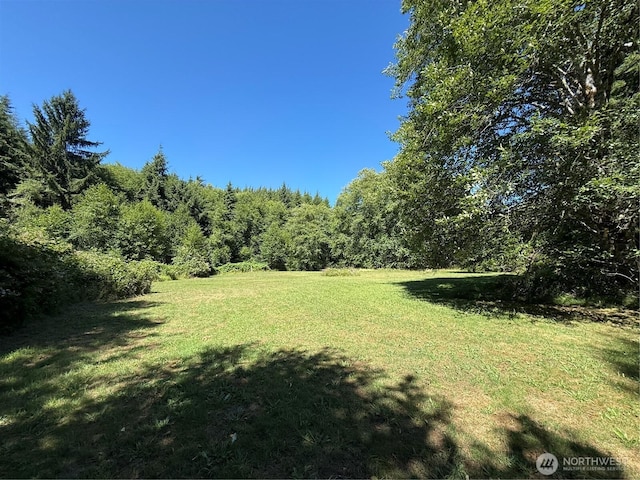 1329 State Route 4, Naselle, WA 98638 - photo 9