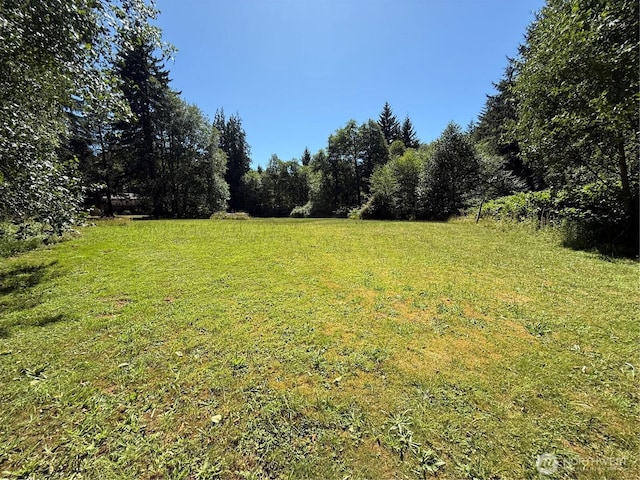 1329 State Route 4, Naselle, WA 98638 - photo 10