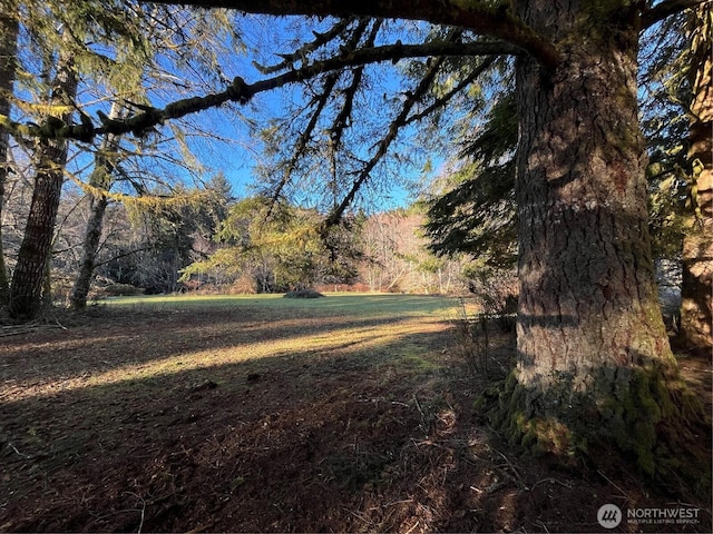 1329 State Route 4, Naselle, WA 98638 - photo 11