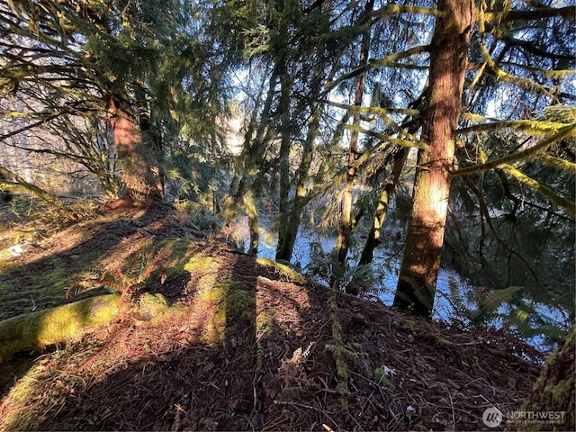1329 State Route 4, Naselle, WA 98638 - photo 12