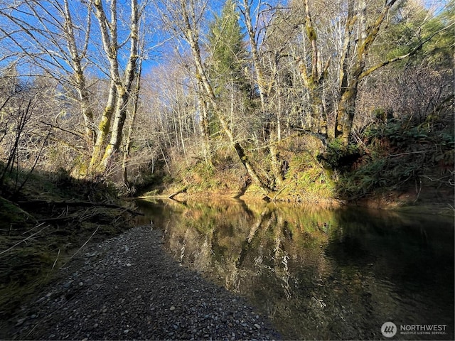 1329 State Route 4, Naselle, WA 98638 - photo 13