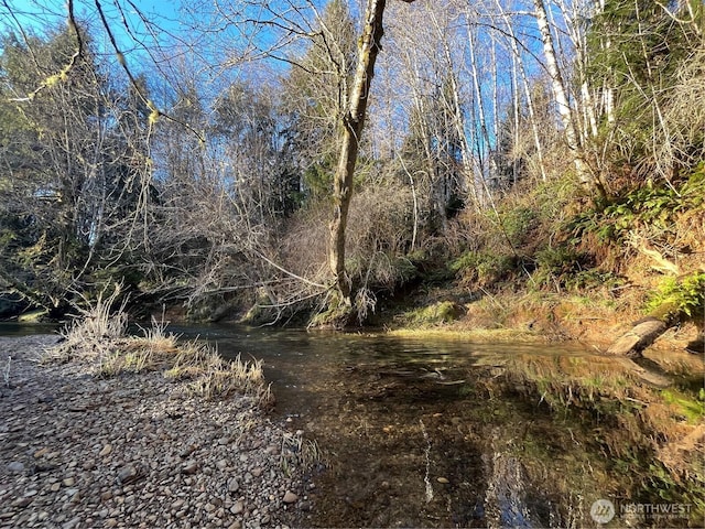 1329 State Route 4, Naselle, WA 98638 - photo 15