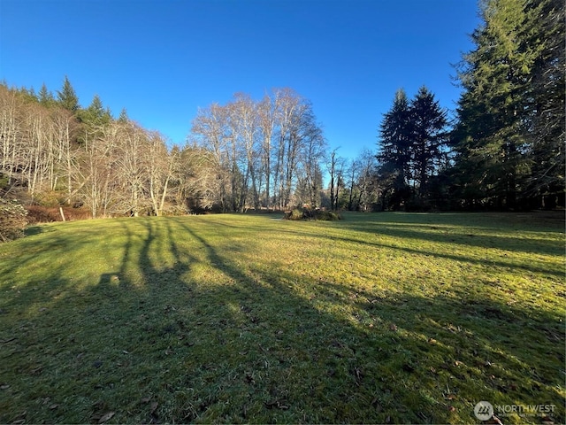1329 State Route 4, Naselle, WA 98638 - photo 16