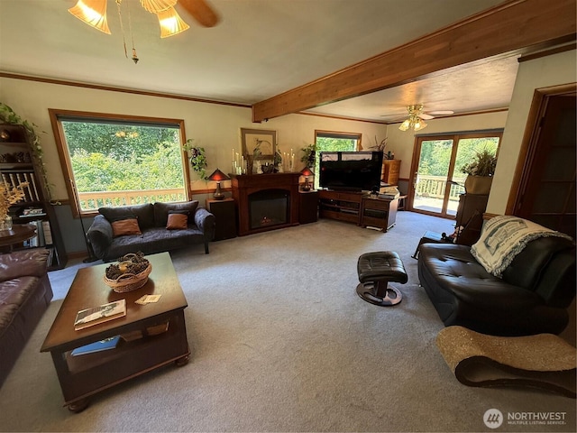 1329 State Route 4, Naselle, WA 98638 - photo 29