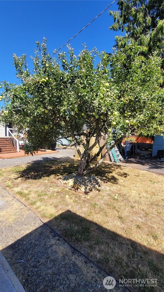 10532 Fremont Ave N, Seattle, WA 98133 - photo 27