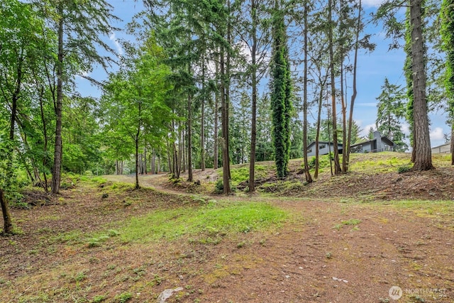 7219 96th St NW, Gig Harbor, WA 98332 - photo 38
